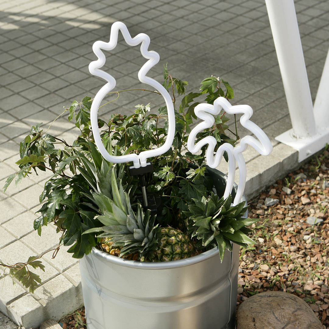 DULTON ONLINE SHOP | SOLAR NEON LIGHT PINE(PINE): インテリア雑貨
