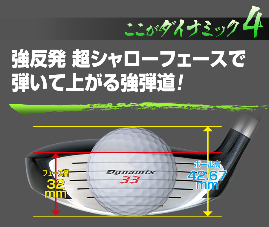 単品】ダイナミクスFW