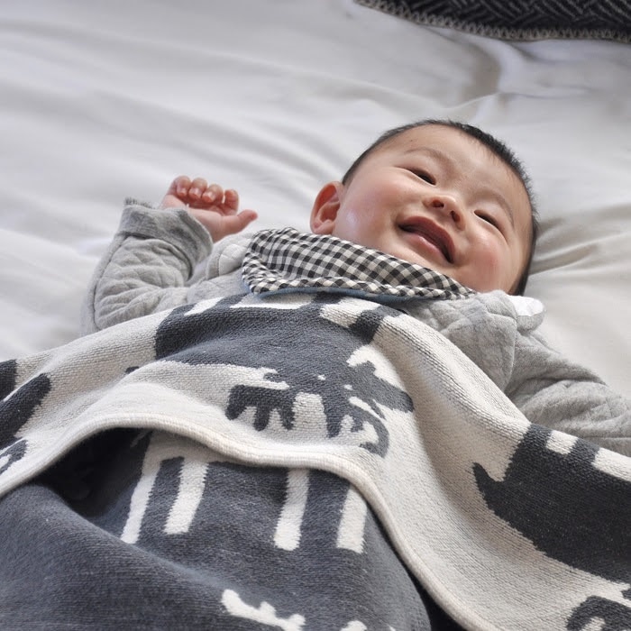 KLIPPAN/クリッパン シュニールコットン ミニブランケット ベングトの