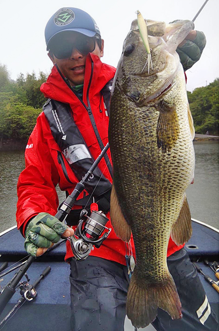 EVERGREEN（エバーグリーン インターナショナル） - OCSS-65ML