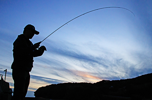 EVERGREEN（エバーグリーン インターナショナル） - SPRS-610UL-S