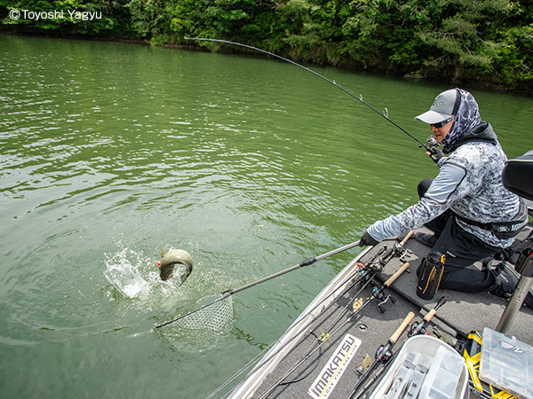 EVERGREEN（エバーグリーン インターナショナル） - TKSS-67XM
