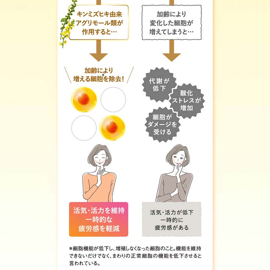 健康食品・サプリメント】ウェルエイジ プレミアム│ファンケルオンライン