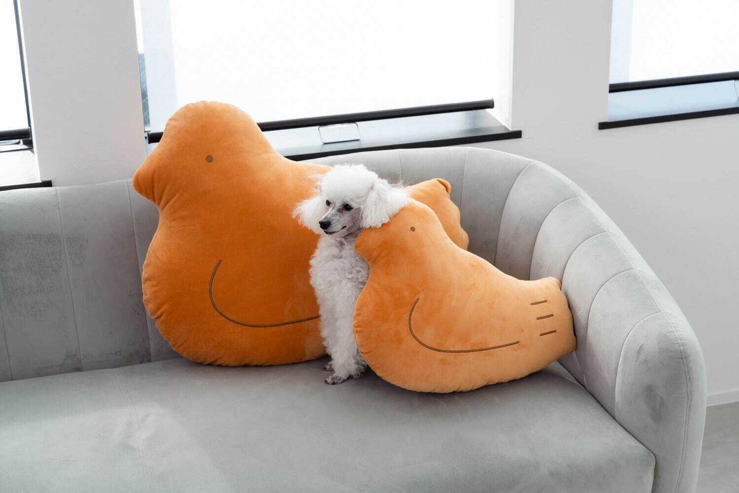 豊島屋「鳩サブレー」がふんわりクッションに、「鳩ッション」大小2