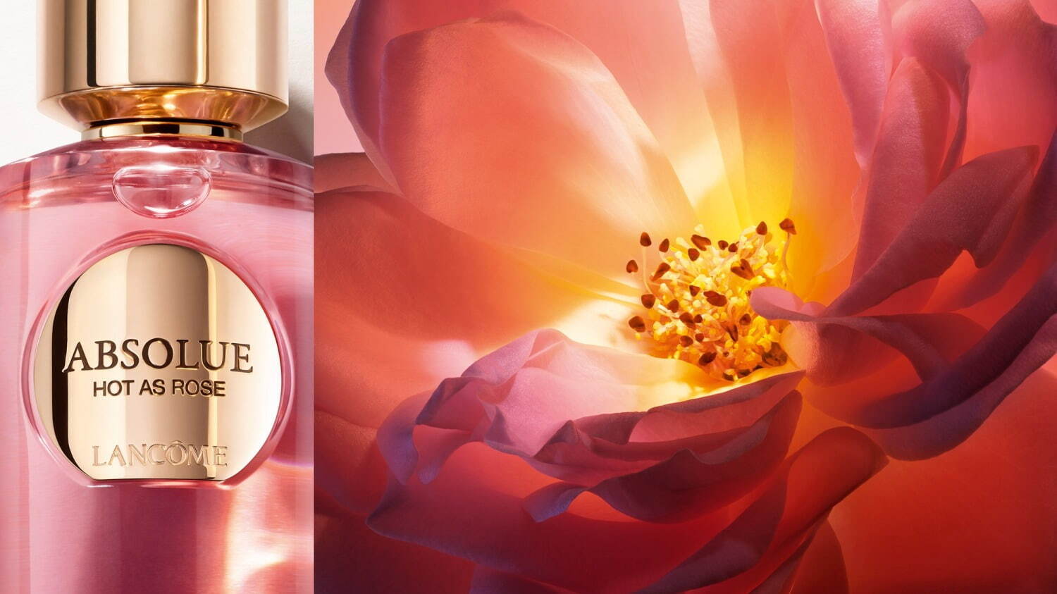 ランコム最高峰フレグランス「アプソリュ レ パルファン」24年冬誕生