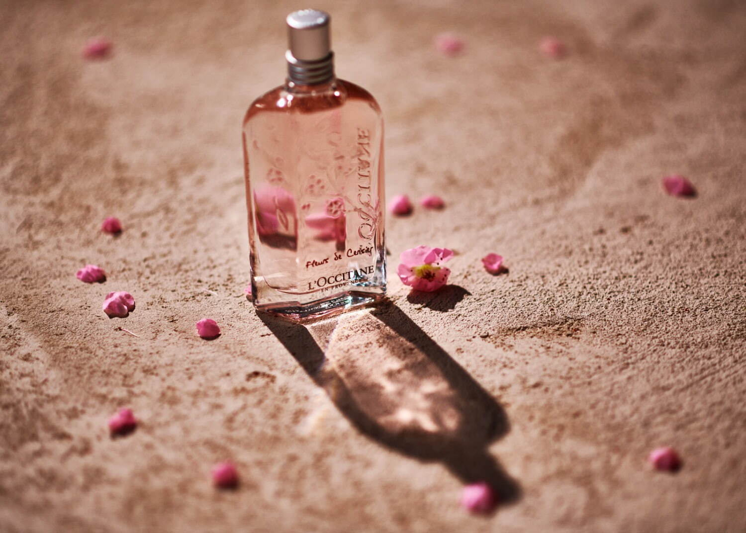 ロクシタン「桜の香り」25年春ボディケア、美白ハンドクリームや“筆