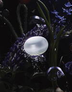 B.A「グランラグゼ」初の保湿クリーム＆マスクが誕生、ブランド最高