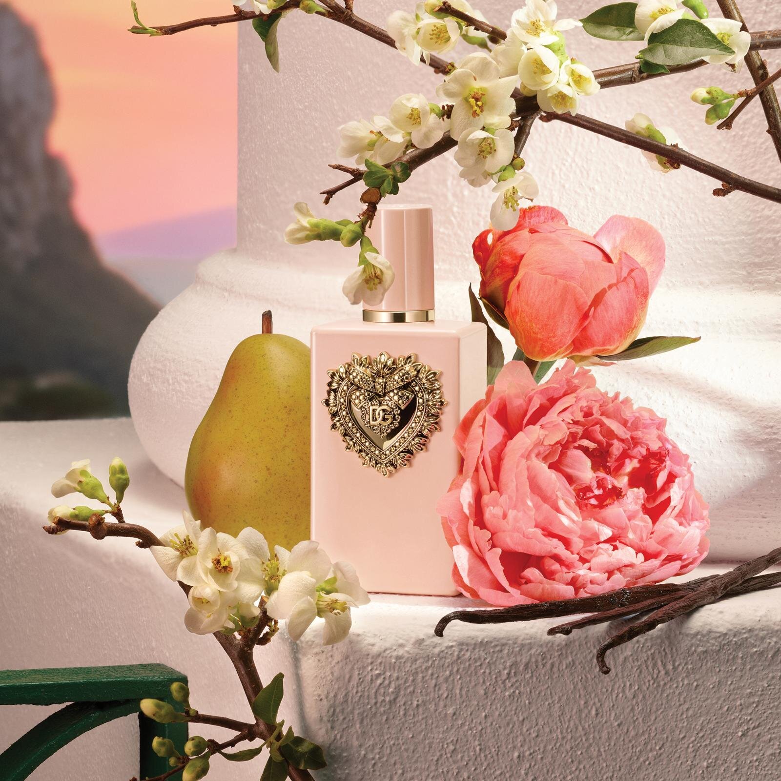 ドルチェ＆ガッバーナ25年秋フレグランス「ディヴォーション