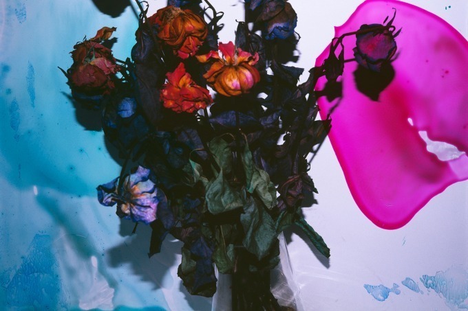 写真家・荒木経惟の映像作品を書籍化した写真集『青ノ時代/去年ノ夏