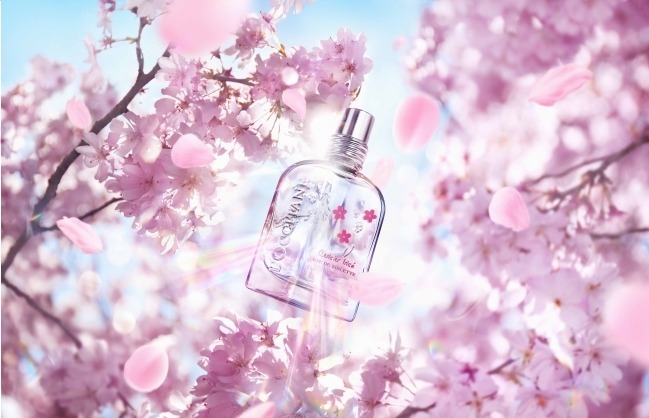 ロクシタン「チェリープリズム」果実と桜の花の甘い限定フレグランス