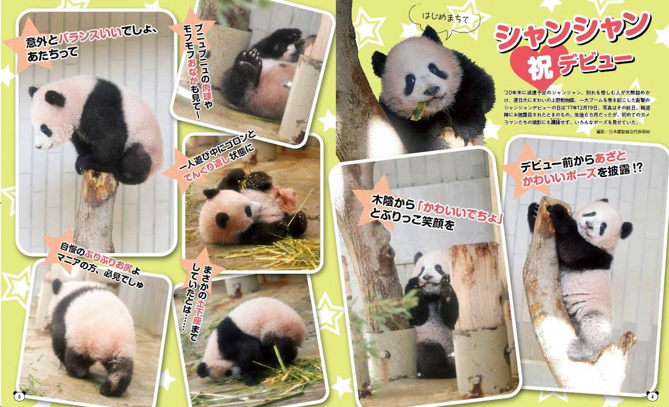 書籍『パンダ自身』人気週刊誌『女性自身』のパンダ特集を再編集した