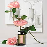 ラルチザン パフューム「メモワール ド ローズ」花の女王に捧ぐ“かつて