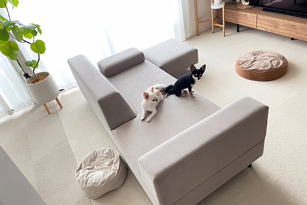 PIVO 3人掛け + PIVO スツール | お客様の声 | ソファ専門店FLANNEL SOFA