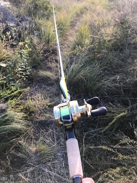 SandWalker】 デイゲームと内容盛り沢山