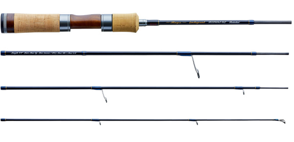 Tenryu Rayz Integral