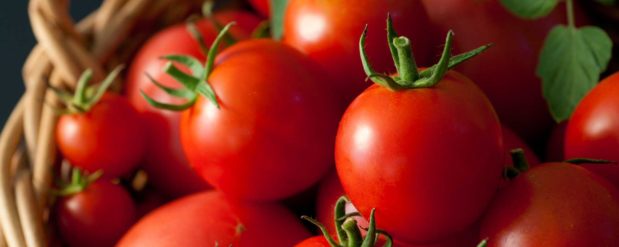 トマト、トマトジュース - ふじさんぽ