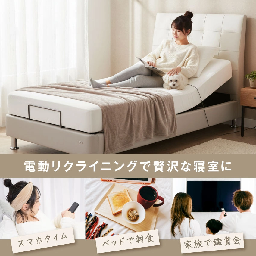 フランスベッド 電動ベッドフレーム IQベッド IQアシュフォードRX