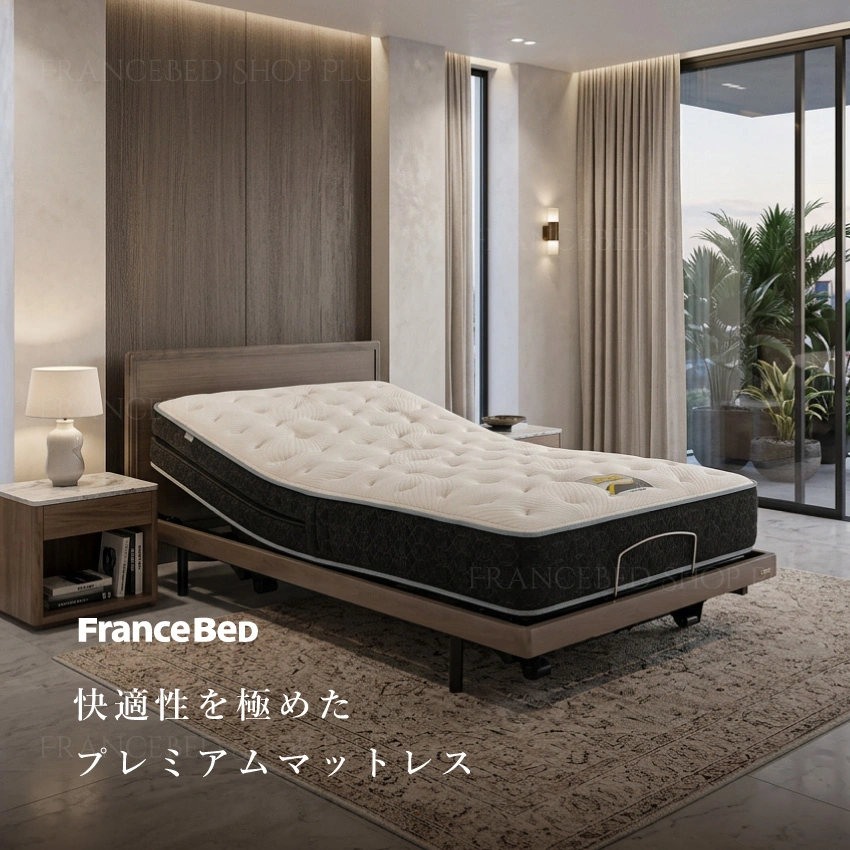 フランスベッド 除菌 電動ベッド用 マットレス Ag-BAE-PW-FK 【公式通販】