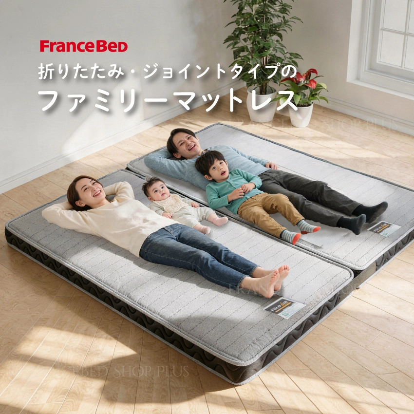 フランスベッド マットレス FD-W02JT | 【公式通販】フランスベッド
