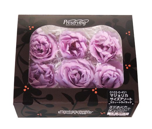 ローズ6輪【マジョリカ・サイズアソート】 | プリザーブドフラワーKnext