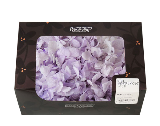 プリザーブド・あじさい | プリザーブドフラワーKnext