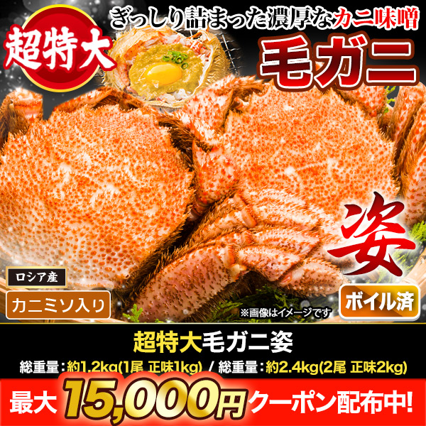 濃厚なカニ味噌！】超特大毛ガニ姿の魅力は、何と言ってもカニ味噌