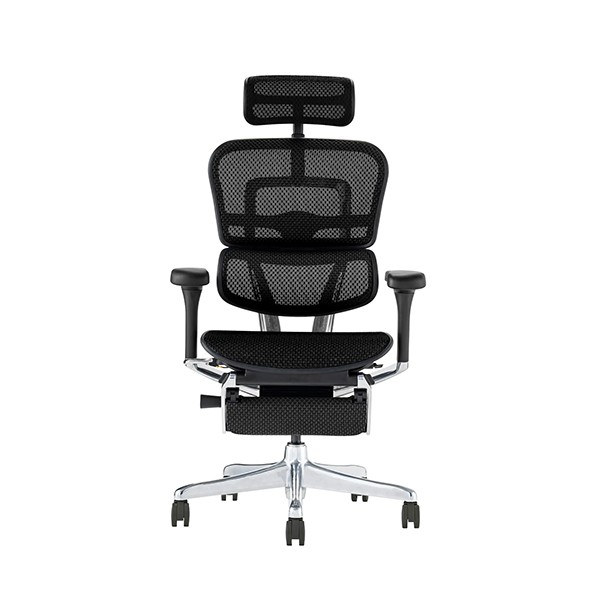 EHP2-LPL-DR-BF-BK【送料無料】 | エルゴヒューマン Ergohuman PRO2