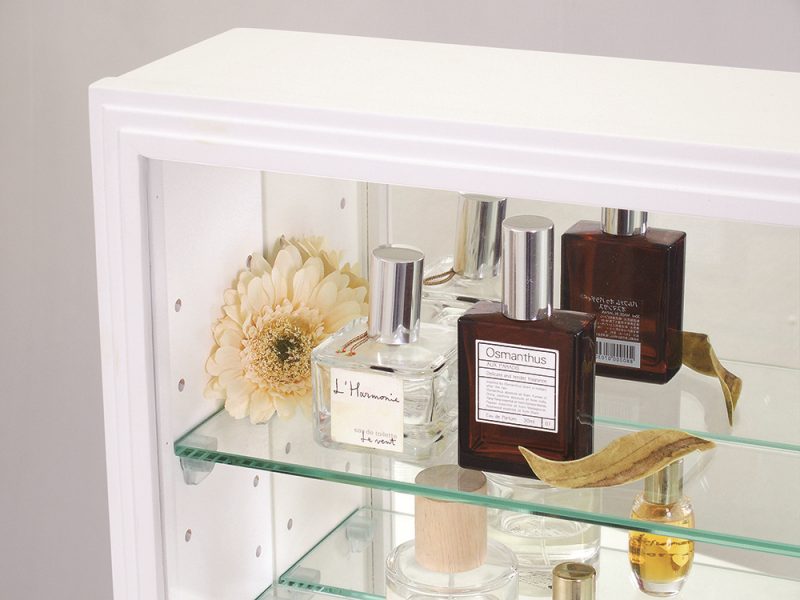 コレクションケース カルトーネ スカーラT BR【塩川光明堂】