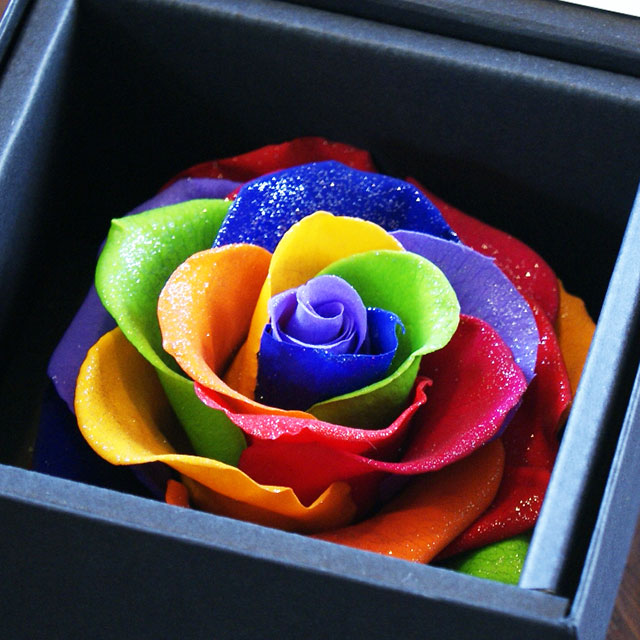 レインボーローズ プリザ 通販 花樹有（かじゅある）山形の花屋 商品