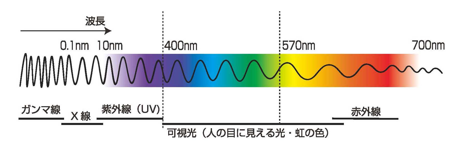 製品案内 HAホワイトニングα