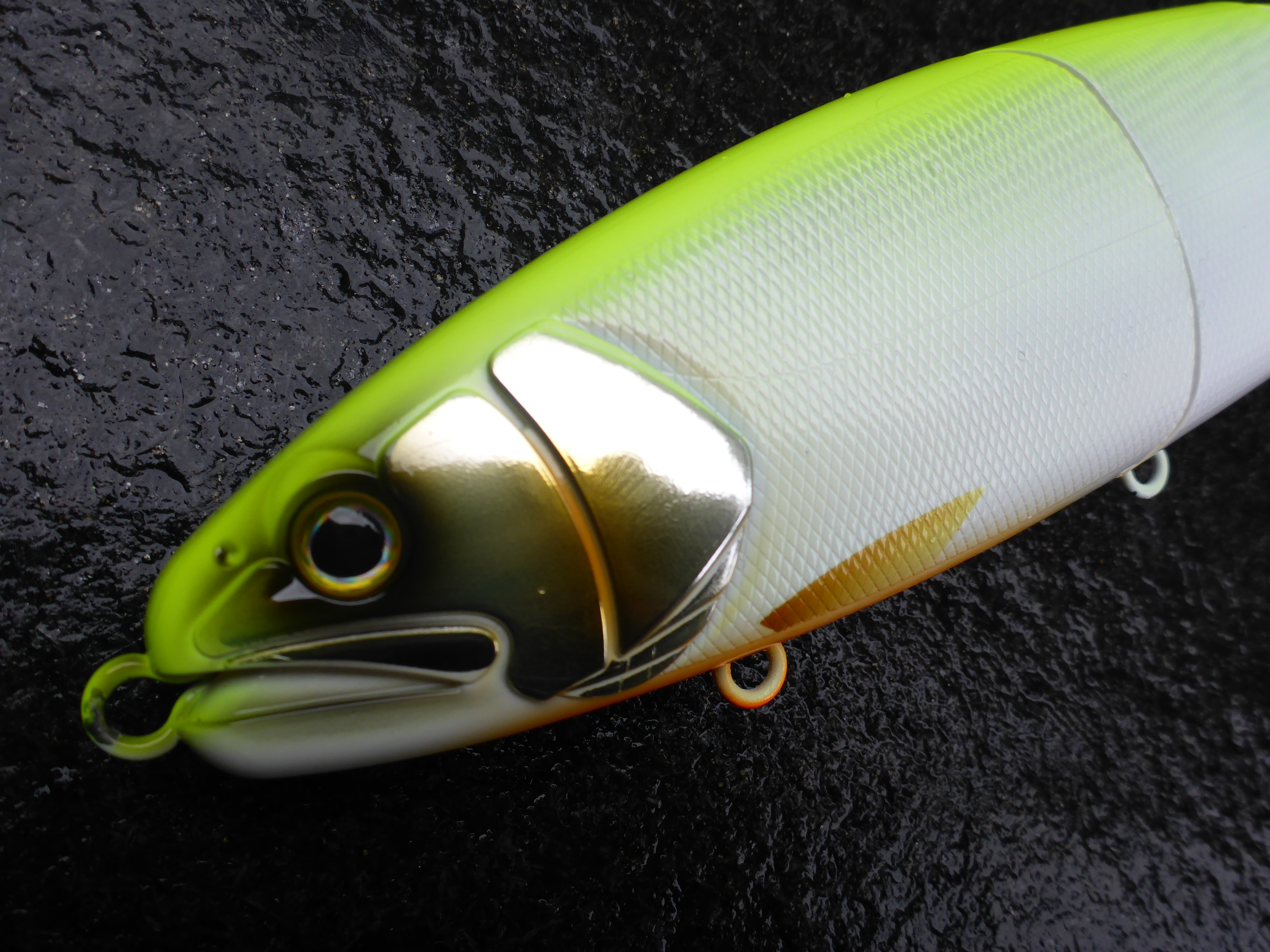 バラム300エバーグリーンカラー。 | 菊元俊文.jp