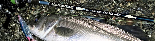 ツララ ハーモニクス スタッカート810MSS-HXストローセッティング