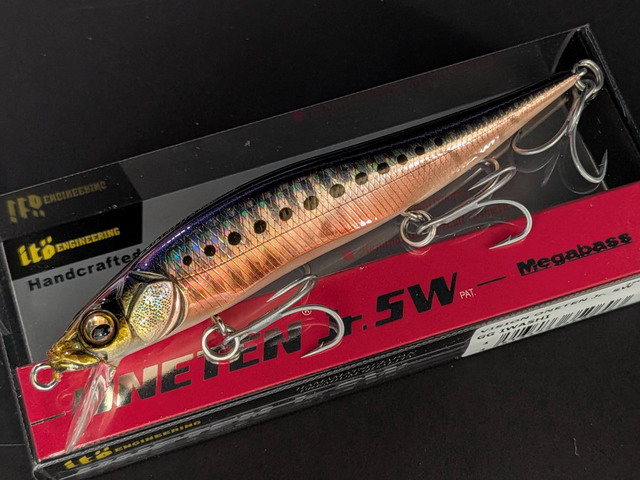 メガバス(Megabass) VISION ONETEN Jr. SW 【シーバスルアー専門店