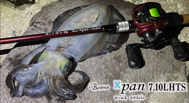 フィッシュマン ビームス エクスパン7.10LHTS (Beams Xpan7.10LHTS