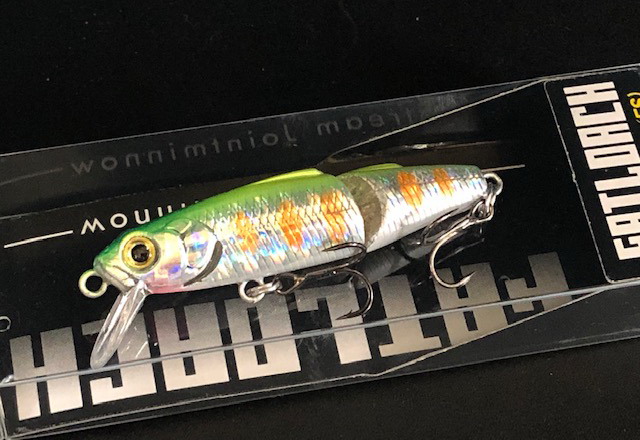 スカジットデザインズ ファットローチ 50mm/4g/FS【シーバスルアー専門