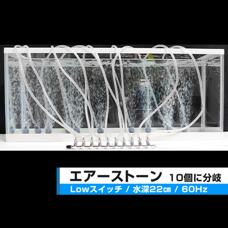 C-8000＋＜エアーポンプ,観賞魚用器具類,屋内用＞｜ハイブロー・エアー