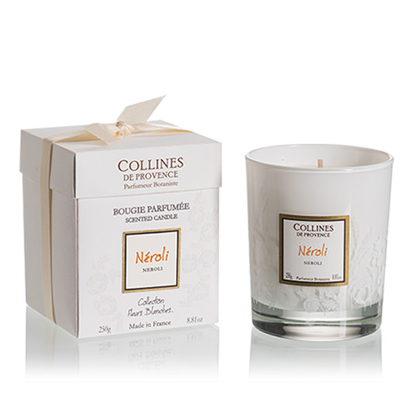 コリンヌ・ド・プロヴァンス/FB センテッドキャンドル カメリア｜自然