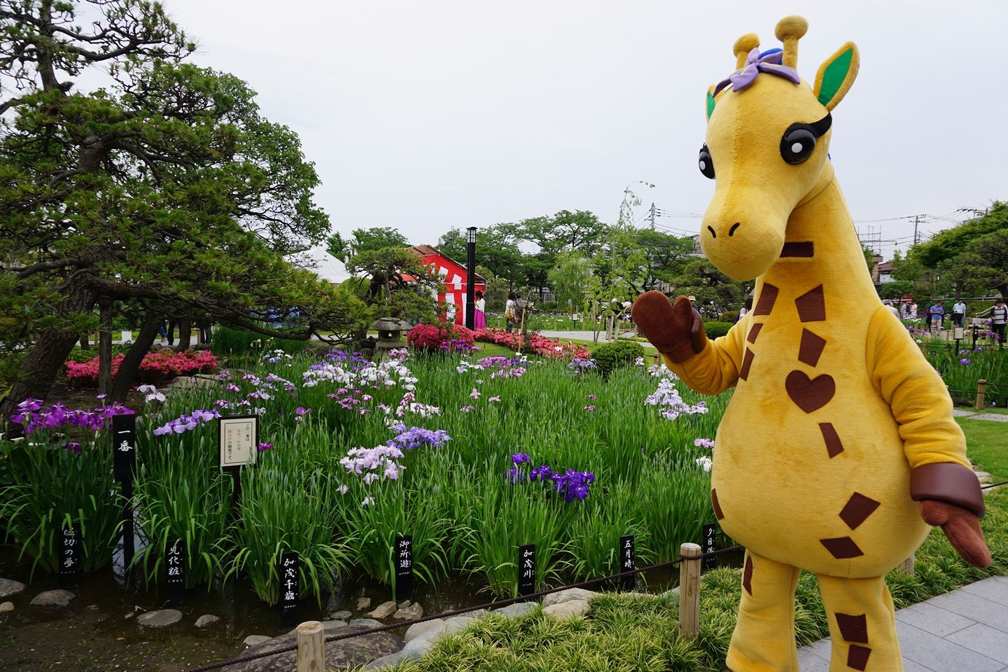 ほりきりんのページ - 堀切商店会の運営するサイトです