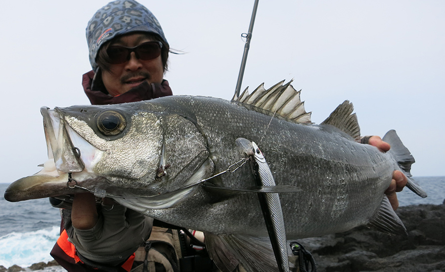 Fishman/フィッシュマン] BRIST VENDAVAL 8.9M (code:FM0085)