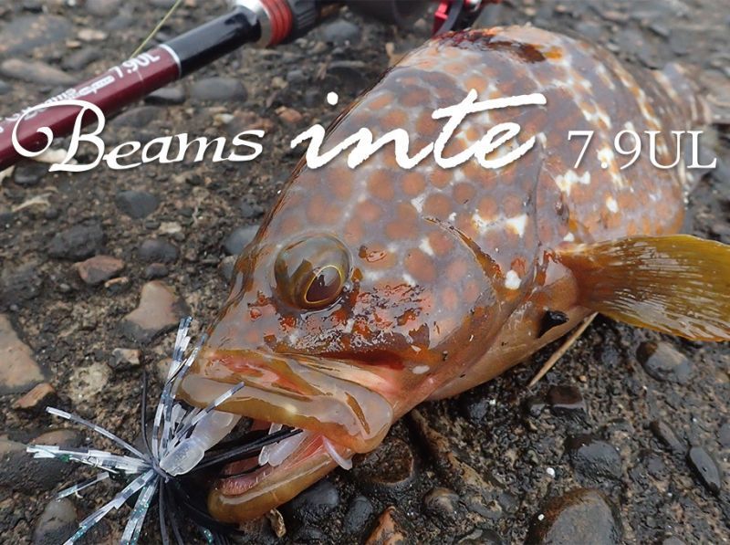Fishman/フィッシュマン】Beams inte 7.9UL（インテ） - リール
