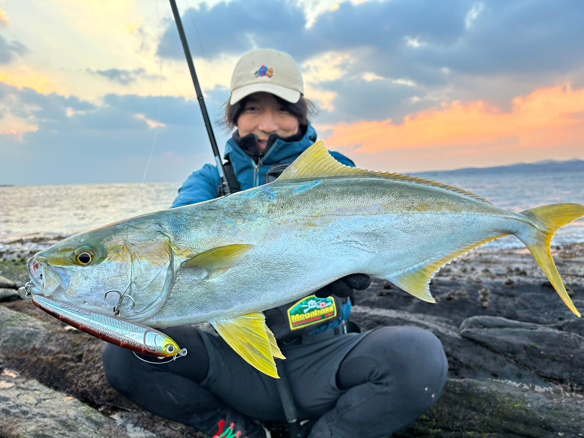 TRANSCENDENCE/トランスセンデンス】Mareflipp 102S / マーレフリップ