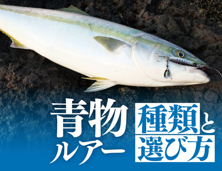 青物ルアー入門】青物が釣れるルアーの種類や選び方【初心者必見】