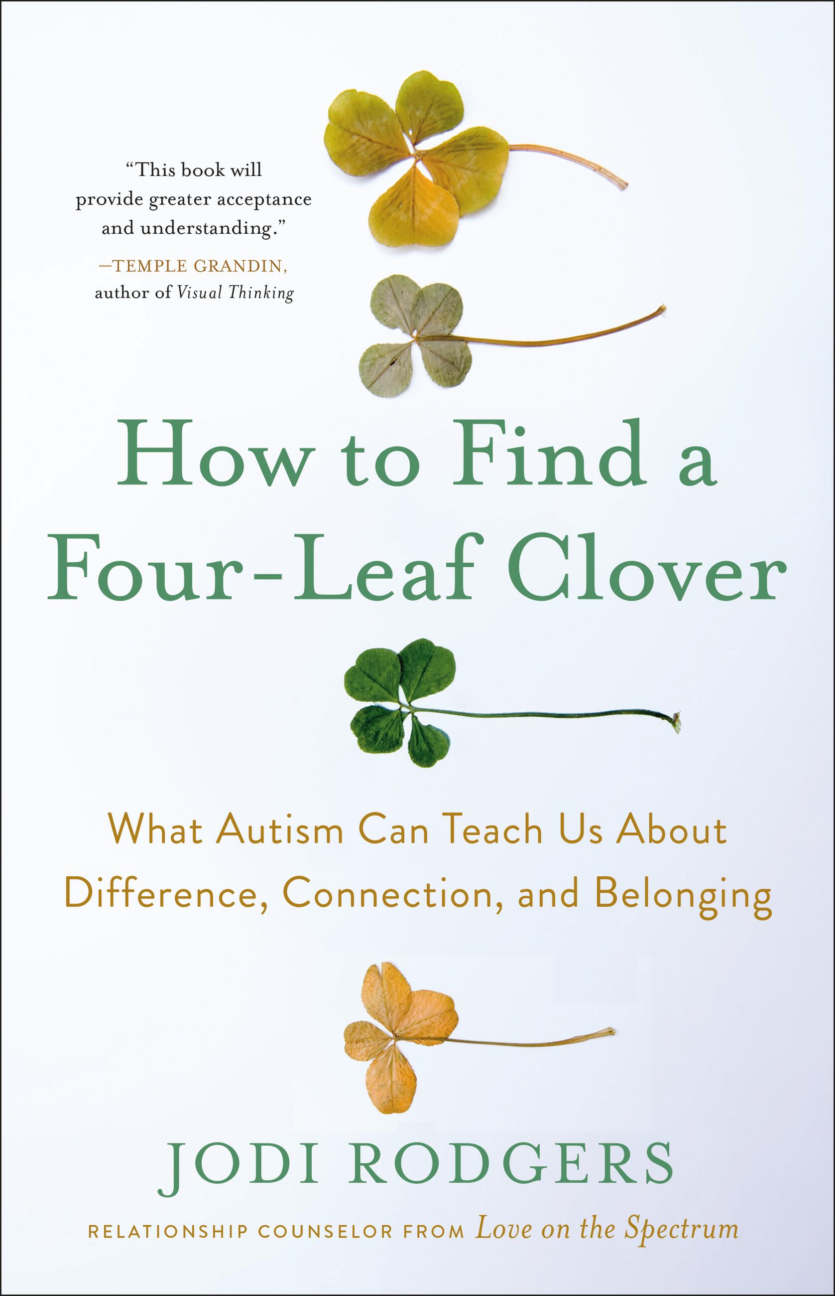 How to Find a Four-Leaf Clover by Jodi Rodgers | Hachette Book Group