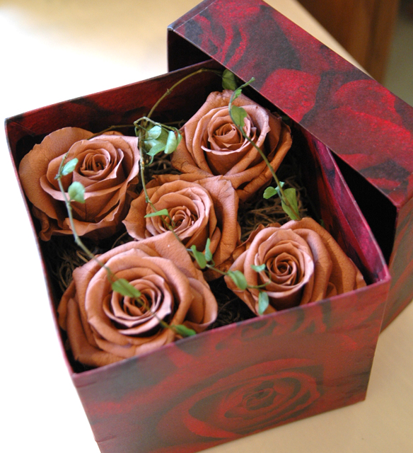 RedRose5(ブラウン) | プリザーブドフラワー専門店 フラワーギフト 花