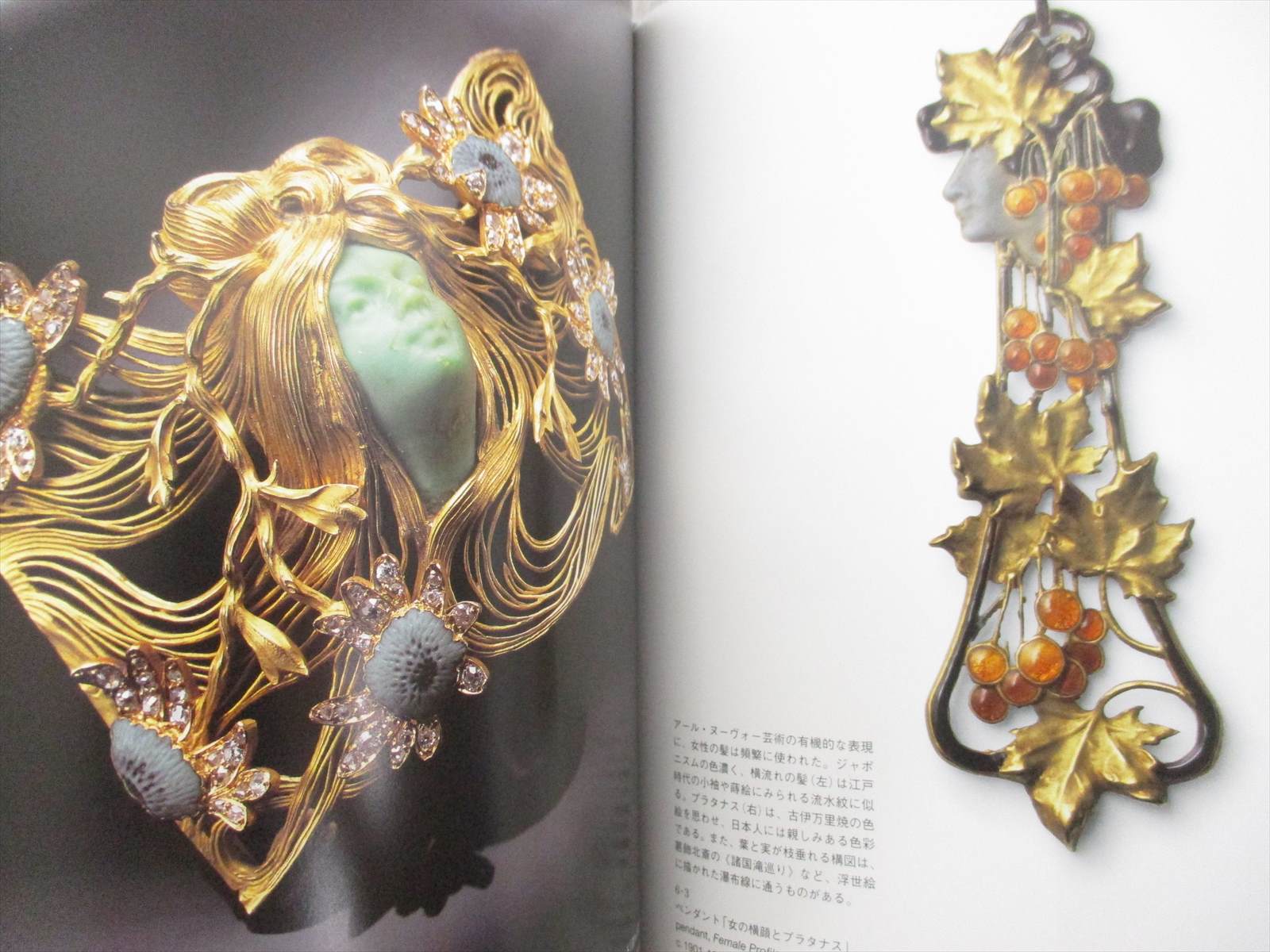 RENE LALIQUE Museum Exhibition Art Nouveau Photo Book Antique