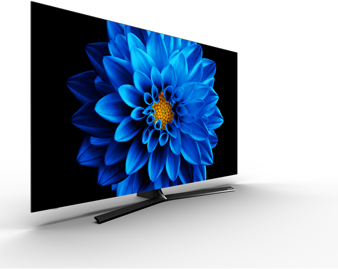 55E8100 | ハイセンスジャパン株式会社