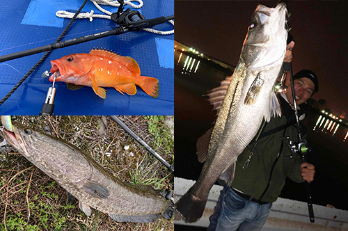 INFINITE BLADE BLACKENED インフィニット ブレイド ブラッケンド