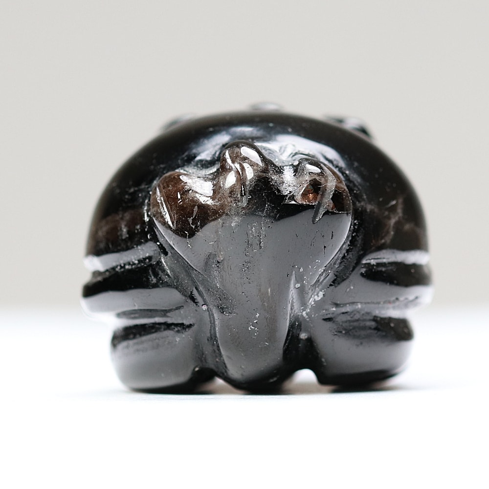 中国/山東省産]モリオン彫刻/天然黒水晶（龍亀/ロングイ） - 埼玉県