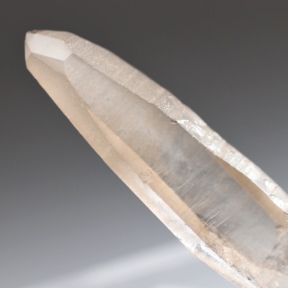 トップクォリティ・ブラジル/セーラデカブラル産]レムリアンシード