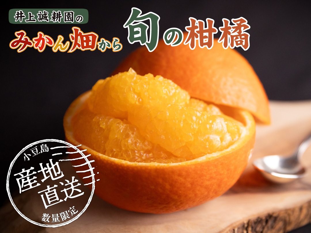 オリーブオイルを小豆島の自然農園「井上誠耕園」よりお届けします